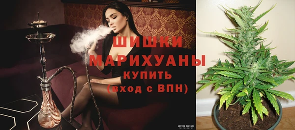 гашик Касимов