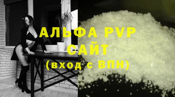 гашик Касимов