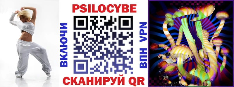 Галлюциногенные грибы Psilocybine cubensis  Купить где  Шилка 